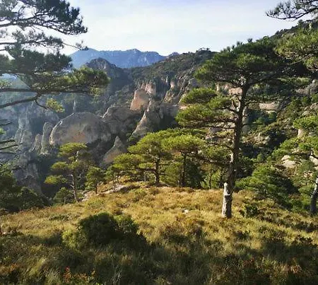 Apartamento Casita Bella Vida L'Ampolla